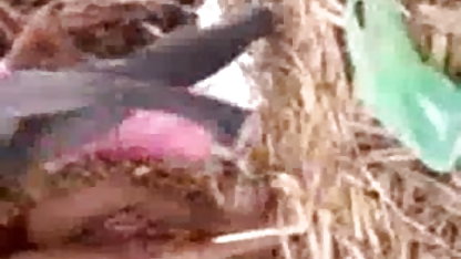 वह गुलाब लगाती है, तुम क्या पूरी सेक्सी फिल्म डालते हो?