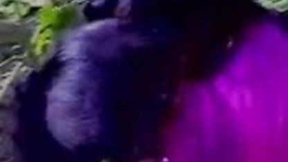 पोर्न चैट में मेरी प्रेमिका को देखो सेक्स पिक्चर का वीडियो