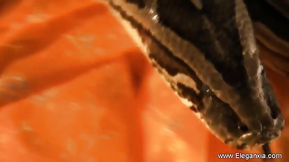 नौकरी के लिए साक्षात्कार में वीडियो सेक्सी हिंदी मूवी