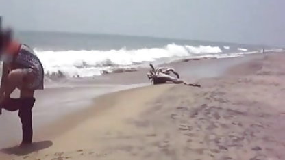 सार्वभौमिक यातायात सेक्स फिल्म सेक्स फिल्म प्रकाश